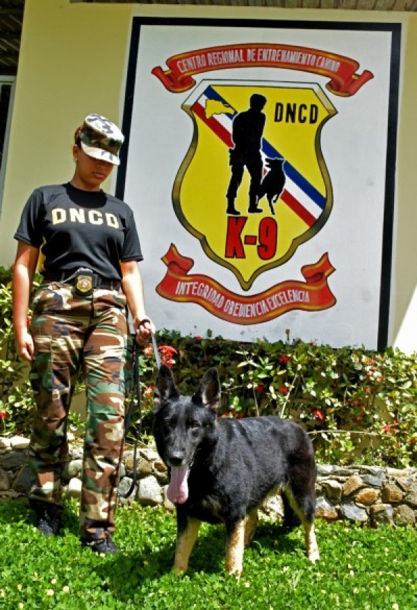 Olfatos caninos de la DNCD al servicio de la seguridad nacional