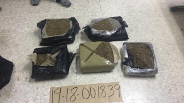 Ocupan cinco kilos de cocaína y más de 90 libras de marihuana en intervención a centro de distribución drogas